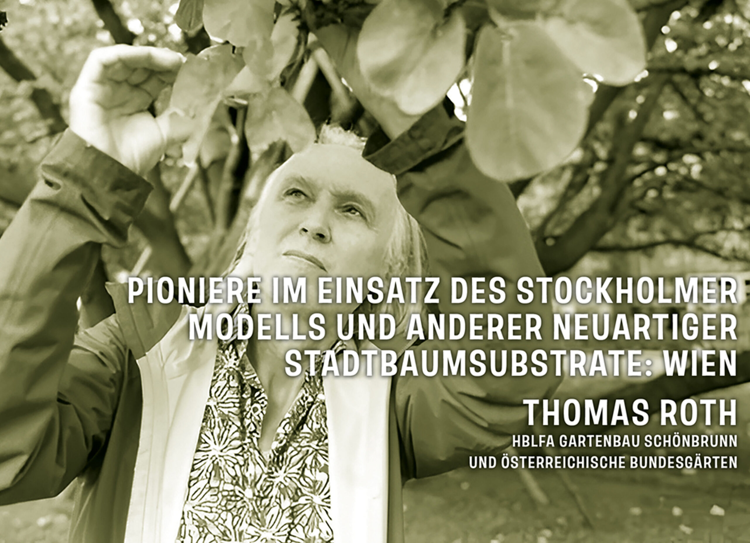 Thomas Roth
